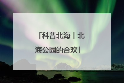 科普北海丨北海公园的合欢