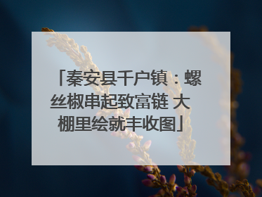 秦安县千户镇：螺丝椒串起致富链 大棚里绘就丰收图