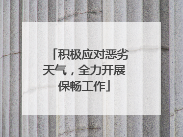 积极应对恶劣天气，全力开展保畅工作