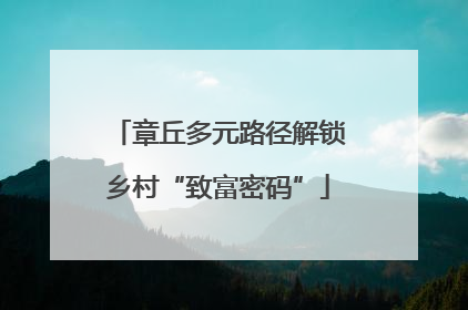 章丘多元路径解锁乡村“致富密码”