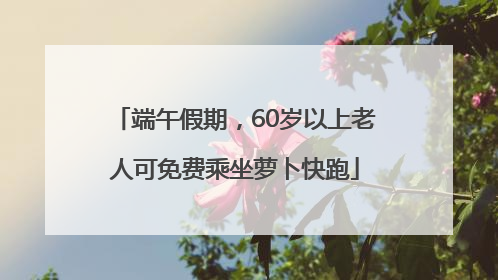 端午假期，60岁以上老人可免费乘坐萝卜快跑