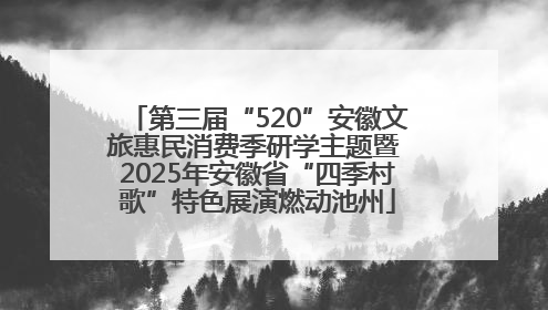 第三届“520”安徽文旅惠民消费季研学主题暨 2025年安徽省“四季村歌”特色展演燃动池州
