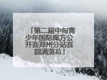 第二届中匈青少年国际魔方公开赛郑州分站赛圆满落幕