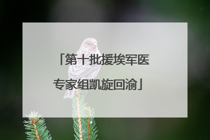 第十批援埃军医专家组凯旋回渝