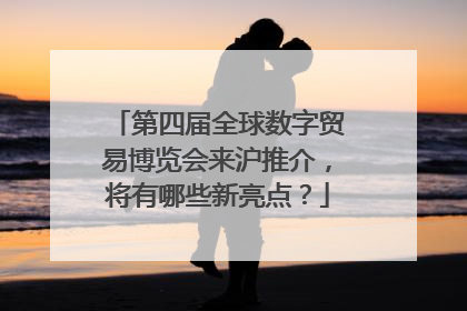 第四届全球数字贸易博览会来沪推介，将有哪些新亮点？