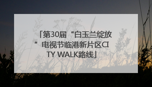 第30届“白玉兰绽放”电视节临港新片区CITY WALK路线