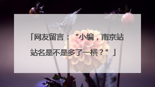 网友留言：“小编，南京站站名是不是多了一横？”