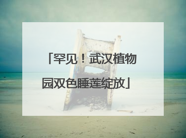 罕见！武汉植物园双色睡莲绽放