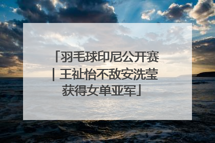 羽毛球印尼公开赛｜王祉怡不敌安洗莹 获得女单亚军