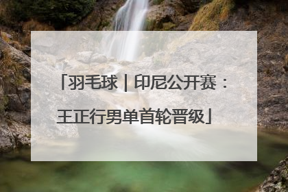 羽毛球｜印尼公开赛：王正行男单首轮晋级