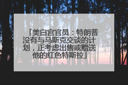 美白宫官员：特朗普没有与马斯克交谈的计划，正考虑出售或赠送他的红色特斯拉