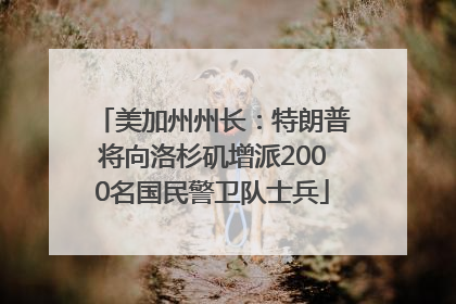 美加州州长：特朗普将向洛杉矶增派2000名国民警卫队士兵
