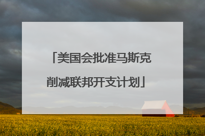美国会批准马斯克削减联邦开支计划
