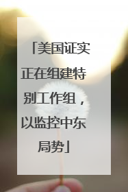 美国证实正在组建特别工作组，以监控中东局势