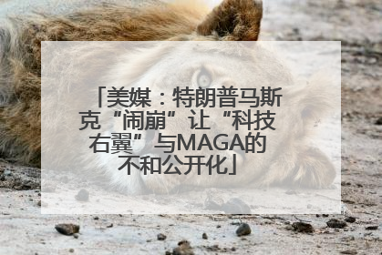 美媒：特朗普马斯克“闹崩”让“科技右翼”与MAGA的不和公开化