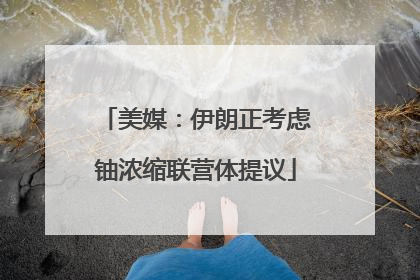美媒：伊朗正考虑铀浓缩联营体提议