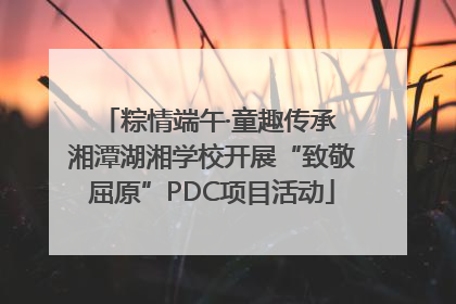 粽情端午·童趣传承 湘潭湖湘学校开展“致敬屈原”PDC项目活动