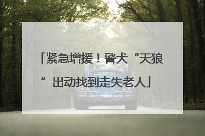 紧急增援！警犬“天狼”出动找到走失老人