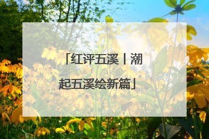红评五溪丨潮起五溪绘新篇
