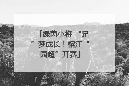 绿茵小将 “足”梦成长！榕江“园超”开赛