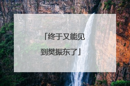 终于又能见到樊振东了