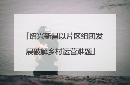 绍兴新昌以片区组团发展破解乡村运营难题