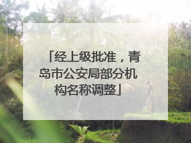 经上级批准，青岛市公安局部分机构名称调整
