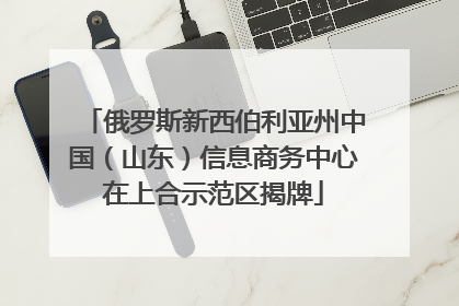 俄罗斯新西伯利亚州中国（山东）信息商务中心在上合示范区揭牌