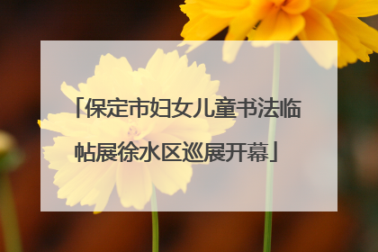 保定市妇女儿童书法临帖展徐水区巡展开幕