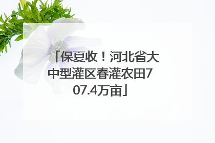 保夏收！河北省大中型灌区春灌农田707.4万亩
