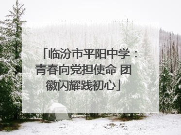 临汾市平阳中学：青春向党担使命 团徽闪耀践初心