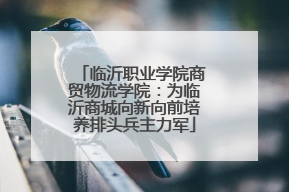 临沂职业学院商贸物流学院：为临沂商城向新向前培养排头兵主力军