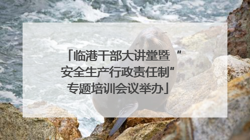 临港干部大讲堂暨“安全生产行政责任制”专题培训会议举办