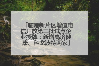 临港新片区增值电信开放第二批试点企业授牌：新增高济健康、科戈波特两家