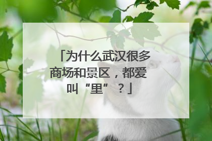 为什么武汉很多商场和景区，都爱叫“里”？