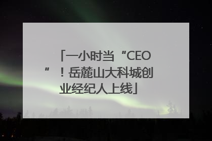 一小时当“CEO”！岳麓山大科城创业经纪人上线