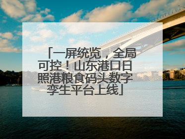 一屏统览，全局可控！山东港口日照港粮食码头数字孪生平台上线