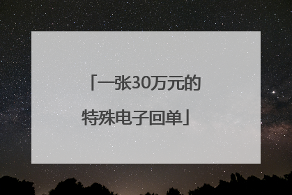 一张30万元的特殊电子回单