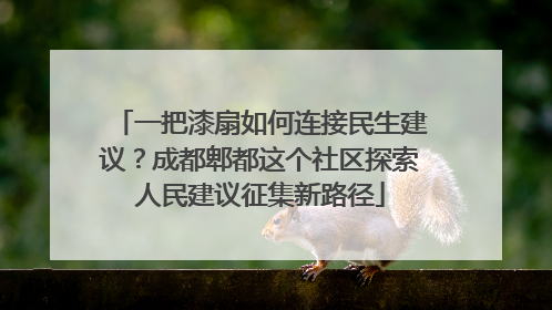 一把漆扇如何连接民生建议？成都郫都这个社区探索人民建议征集新路径
