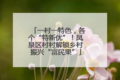 一村一特色，各个“特新优”！凤泉区村村解锁乡村振兴“富民果”