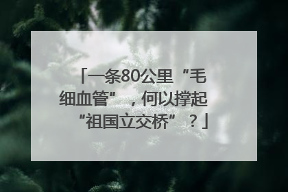 一条80公里“毛细血管”，何以撑起“祖国立交桥”？