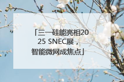 三一硅能亮相2025 SNEC展，智能微网成焦点