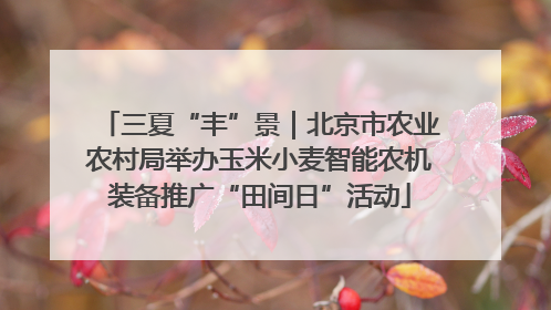 三夏“丰”景｜北京市农业农村局举办玉米小麦智能农机装备推广“田间日”活动