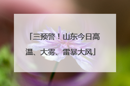 三预警！山东今日高温、大雾、雷暴大风