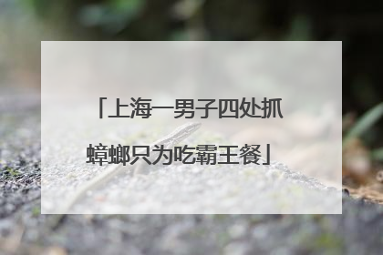上海一男子四处抓蟑螂只为吃霸王餐