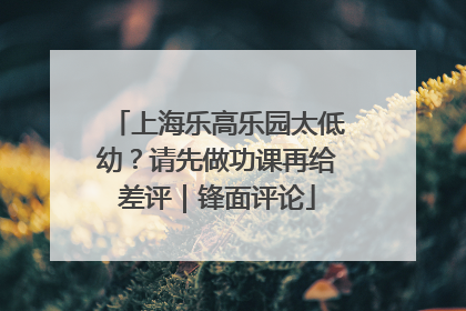 上海乐高乐园太低幼？请先做功课再给差评｜锋面评论