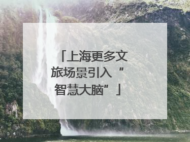 上海更多文旅场景引入“智慧大脑”