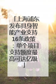 上海浦东发布具身智能产业支持16条政策：单个项目支持额度最高可达亿级