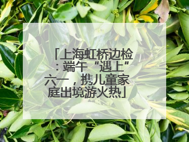 上海虹桥边检：端午“遇上”六一，携儿童家庭出境游火热