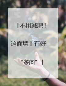 不用减肥！这面墙上有好“多肉”